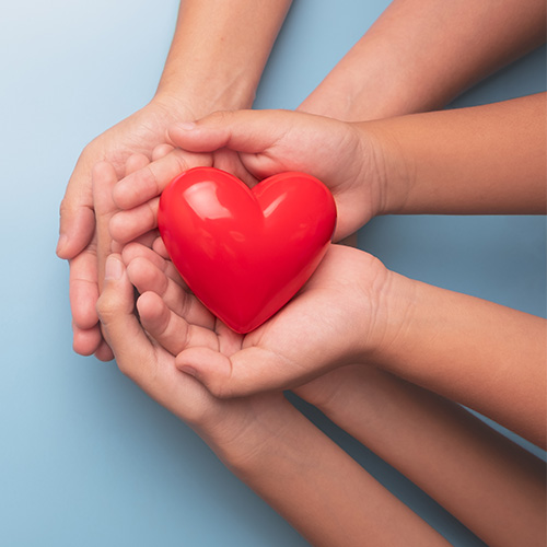 hands holding a heart